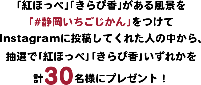 「紅ほっぺ」「きらぴ香」がある風景を「#静岡いちごじかん」をつけてInstagramに投稿してくれた人の中から、抽選で｢紅ほっぺ｣｢きらぴ香｣いずれかを計30名様にプレゼント！